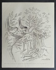 Original Illustration Art British Cartoonist Robert Coram Naughty Birds Eye View picture