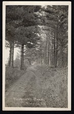 New Hampshire-NH-Walpole-RPPC-Wenworth Road-Bowman?-1911 Antique Real Photo PC picture