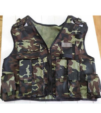 New Ukrainian UA army pounch vest Dubok picture