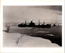 Photo Print WWII USS Yancey AKA 93 Andromeda-class Attack Cargo Ship 8x10 [267] picture
