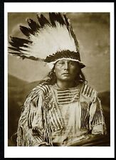 ⫸ 912 Postcard GALL, Hunkpapa Sioux Indian Chief 1882 George Scott Photo NEW picture