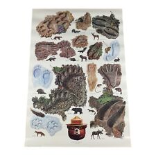 Vintage Smokey The Bear USDA Educational Forest Service Poster “Impressions” picture