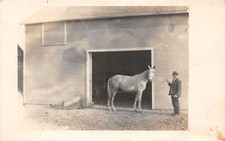J68/ French Lick Indiana RPPC Postcard c1910 Horse Barn Man Farm 385 picture