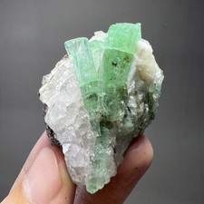 230ct Beautiful  Natural Emerald Crystals on Quartz, Specimen From Chitral PAK picture