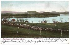 Wolfeboro Bay New Hampshire NH Greetings From Wolfboro 1905 Vintage Postcard picture