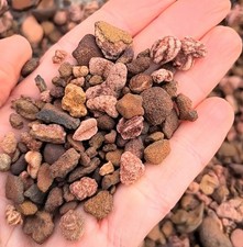 Natural Oklahoma Sandstone Concretion Discovery Mix w/ Micro Rose Rock Clusters  picture