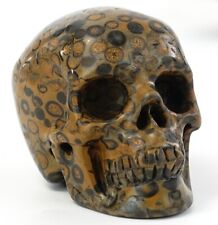 Leopard Skin Stone Quartz Carved Realistic Skull Natural Crystal Statue Healing picture