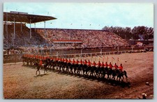 Vintage Postcard Calgary AB R.C.M.P. Musical Ride at Stampede picture