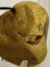 Native American Indian Authentic Hand Carved Stone Ancient Effigy  2.6 oz  picture