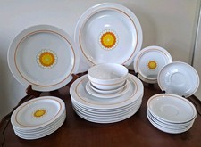 George Briard 1970s Florette Set Of 26 Platter Bowl Dinner & Bread Plates Saucer picture