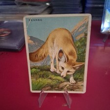 1909-11 Hassan Animals Series Tobacco T29 Fennec Fox Fennec 0w8f picture
