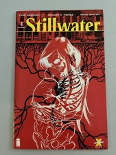 Stillwater #1 Chip Zdarsky Perez Cover A 1st Print 2020 Image TV SERIES NM/NM+ picture