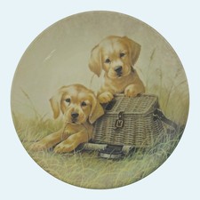 Edwin M Knowles Gone Fishin Golden Retriever Puppy Plate Lynn Kaatz COA (X125) picture