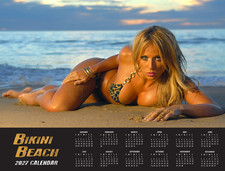 2027 BIKINI BEACH WALL CALENDAR 16 Months USA w POSTER Swimsuit Hot Girls picture