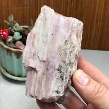 106-63-40mm NATURAL ROUGH KUNZITE PINK SPODUMENE CRYSTALS 430g A4601 picture