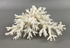 Natural White Branch Finger lace Coral Sea Ocean Reef Aquarium Decor Specimen picture