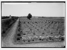Photo:Various results of the war. War cemetery at Gaza, new view picture