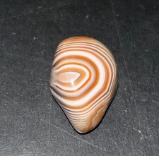 Lake Superior Agate? Botswana? Unbelievably Stunning Polished .4 Ounces Look picture