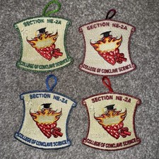 Section NE-2A Conclave 4 Patch Set Associate Bachelors Masters picture