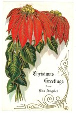 Los Angeles CA Poinsettia Christmas Greetings Embossed Postcard 1913 Panama Expo picture