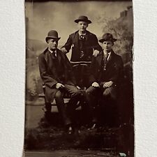 Antique Tintype Group Photograph Handsome Fashionable Young Man Wild West picture