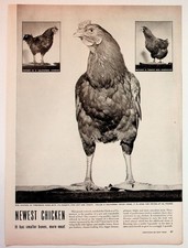 1940s Chicken of Tomorrow Fred Astaire Edgeworth Tobacco Magazine Ad picture