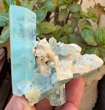 55g-D-Free Combo Aquamarine Bunch w/ Tourmaline Clusters Specimen picture