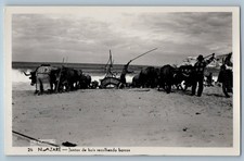Oeste Portugal Postcard Teams of Oxen Hauling Boats Nazare c1930's RPPC Photo picture