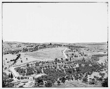 Photo:Jerusalem El Kouds Mount of Olives Panorama 1900s picture