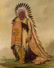 Wán-ee-ton, Chief of the Tribe — George Catlin Art Print 8
