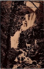 c1910 KILLARNEY IRELAND TORC WATERFALL HUGE BUCK ANTHONY LITHO POSTCARD 34-268 picture