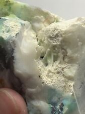 Rare And Unique Opal Wood W/ Chalcedony Stalactites  picture