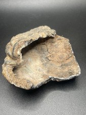 Conglomerate Stone 115g picture