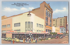 Postcard Downtown Business Section, Tampa Florida, Kress, Walgreen, Woolworth picture