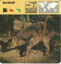 1975 Editions Rencontre, Animals Card, #20.462 Aardwolf picture