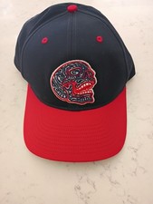 New Terrapin Beer Company Sugar Skull Hat Snap-back Athens GA Day Of THE DEAD picture