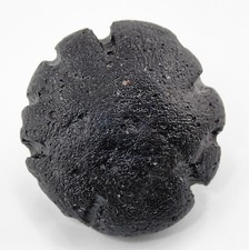 Bicolite Tektite – 52 grams Philippinite, Meteorite Impact, Bikolite, Rizalite picture