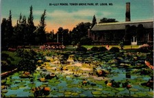 Vintage Lily Ponds Tower Grove Park St. Louis MO Postcard Paul Monroe picture