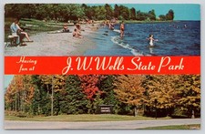 J.W. Wells State Park, Cedar River MI Michigan Postcard 1960s, Swimmers, Beach picture