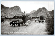 Monterrey Mexico Postcard Canon De Santa Catarina c1910 Antique RPPC Photo picture