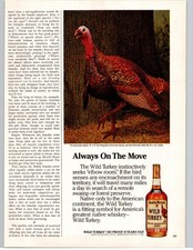 Vintage 1982 Wild Turkey Bourbon Print Ad Ken Davies Turkey Artwork Wall Decor  picture