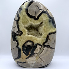Septarian Dragon Stone Nodule 8.5” Polished Druzy Crystal Geode UV Reactive picture