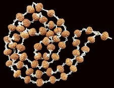 8 Mukhi Rudraksha Mala - Ganesha Mala In Pure Silver picture