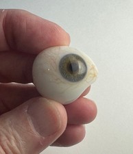 Antique German hand-blown human prosthetic glass eye.  E10 picture