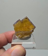 Zoned Fluorite with Barite - Minerva #1, Cave-in-Rock, Hardin Co, Illinois picture