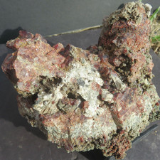 ALMANDINE GARNETS &  DIOPSIDE  CRYSTALS    - Goodall Quarry -  Sanford, Maine. picture