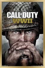 Call of Duty WWII Key Art Poster 22.375x 34 Gold Framed picture