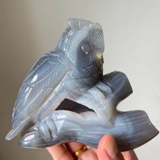 2.2LB A+Hand Carved Agate Geode Cute Owl Statue Crystal Healing Home Decor picture