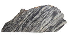 Cut and Polished Sedimentary Display Rock picture