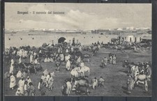 1911 ITALY COLONY LYBIA  BENGAZI THE LIVESTOCK MARKET picture